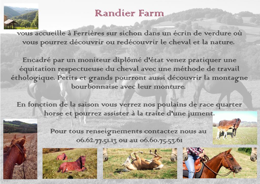 Domaine Du Randier Ferrières-sur-Sichon Exterior photo